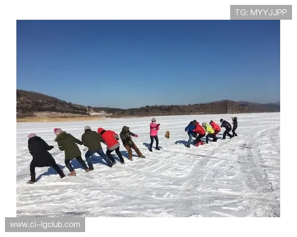 宠物趣味足球表演教学设计与实施方案